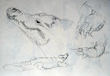 Sketchbooks